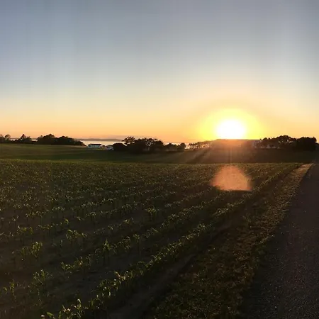 Appartement Charming On The *